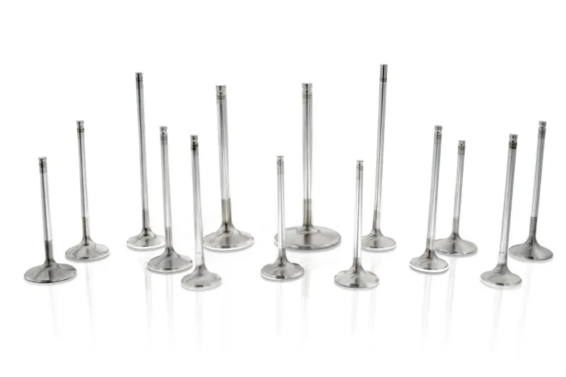 Ferrea Chevy SB 1.6in 11/32 6.090in 0.25in 20 Deg Canted Competition Plus Exhaust Valve - Set 8